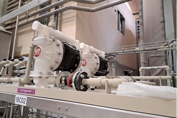 samoa pivot pumps
